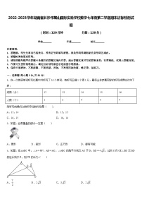 2022-2023学年湖南省长沙市麓山国际实验学校数学七年级第二学期期末达标检测试题含答案