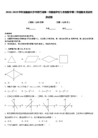 2022-2023学年湖南省长沙市青竹湖湘一外国语学校七年级数学第二学期期末质量检测试题含答案