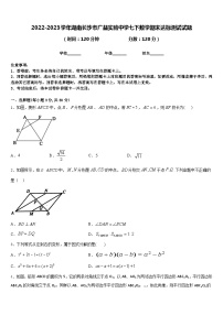 2022-2023学年湖南长沙市广益实验中学七下数学期末达标测试试题含答案