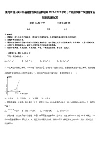 黑龙江省大庆杜尔伯特蒙古族自治县联考2022-2023学年七年级数学第二学期期末质量跟踪监视试题含答案