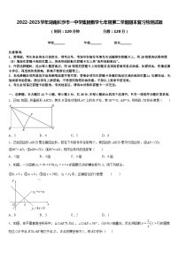 2022-2023学年湖南长沙市一中学集团数学七年级第二学期期末复习检测试题含答案