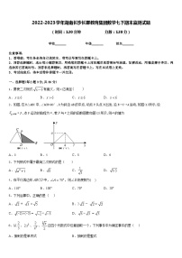 2022-2023学年湖南长沙长郡教育集团数学七下期末监测试题含答案