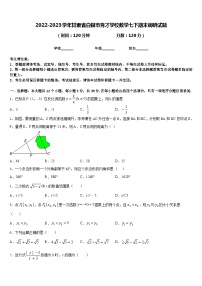 2022-2023学年甘肃省白银市育才学校数学七下期末调研试题含答案