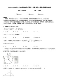 2022-2023学年甘肃省酒泉市瓜州县七下数学期末达标检测模拟试题含答案