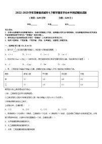 2022-2023学年甘肃省武威市七下数学期末学业水平测试模拟试题含答案