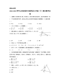 山东省滨州市惠民县2022-2023学年七年级下学期期末数学试卷（含答案）