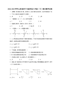 山东省济宁市嘉祥县2022-2023学年八年级下学期期末数学试卷