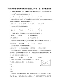 河南省南阳市邓州市2022-2023学年下学期八年级期末数学试卷