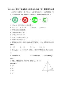 2022-2023学年广东省梅州市兴宁市八年级（下）期末数学试卷（含解析）