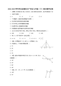 2022-2023学年河北省廊坊市广阳区七年级（下）期末数学试卷（含解析）