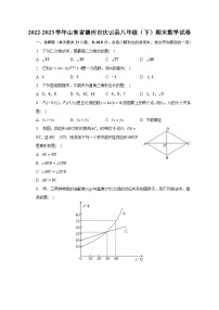 2022-2023学年山东省德州市庆云县八年级（下）期末数学试卷（含解析）