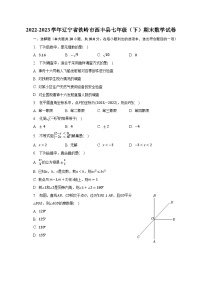 2022-2023学年辽宁省铁岭市西丰县七年级（下）期末数学试卷（含解析）