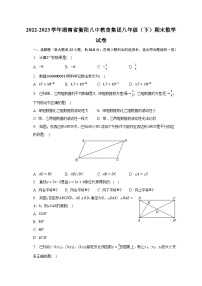 2022-2023学年湖南省衡阳八中教育集团八年级（下）期末数学试卷（含解析）