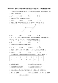 2022-2023学年辽宁省铁岭市西丰县八年级（下）期末数学试卷（含解析）