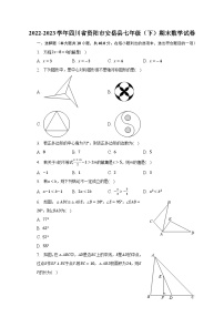 2022-2023学年四川省资阳市安岳县七年级（下）期末数学试卷（含解析）