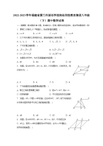 2022-2023学年福建省厦门外国语学校海沧附校教育集团八年级（下）期中数学试卷（含解析）