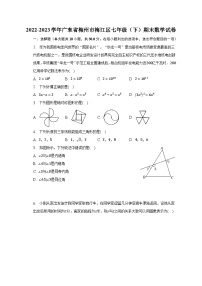 2022-2023学年广东省梅州市梅江区七年级（下）期末数学试卷（含解析）