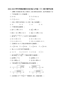 2022-2023学年河南省南阳市卧龙区七年级（下）期中数学试卷（含解析）