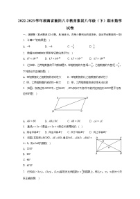 2022-2023学年湖南省衡阳八中教育集团八年级（下）期末数学试卷（含解析）