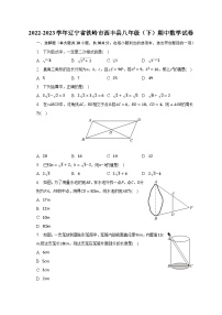 2022-2023学年辽宁省铁岭市西丰县八年级（下）期中数学试卷（含解析）