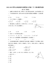 2022-2023学年山东省滨州市惠民县七年级（下）期末数学试卷（含解析）