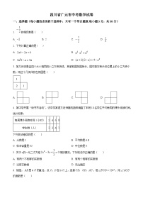 2023年四川省广元市中考真题数学试题