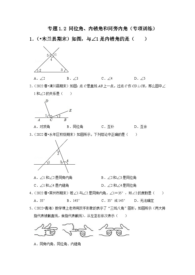 专题1.2 同位角、内错角和同旁内角（专项训练）-七年级数学下册《同步考点解读•专题训练》（浙教版）01