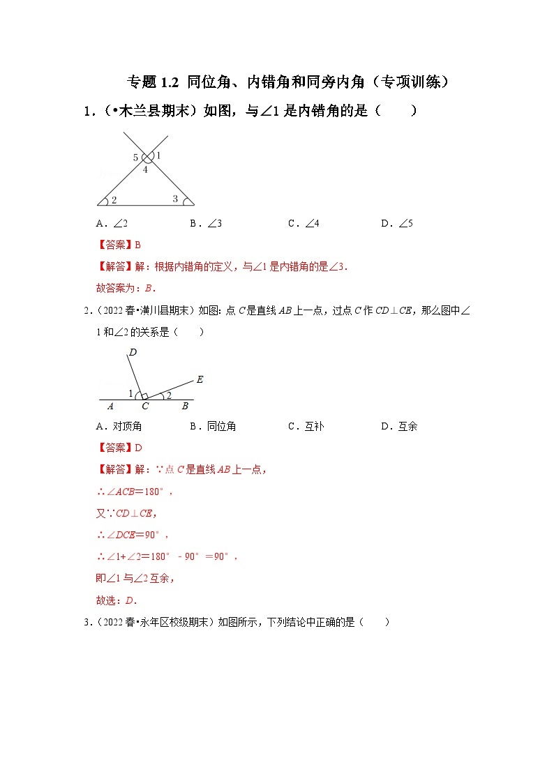 专题1.2 同位角、内错角和同旁内角（专项训练）-七年级数学下册《同步考点解读•专题训练》（浙教版）01