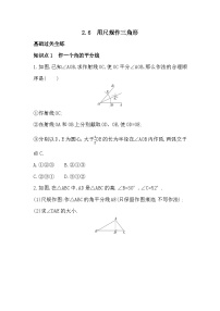 湘教版八年级上册2.1 三角形优秀复习练习题