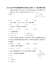 2022-2023学年安徽省蚌埠市怀远县七年级（下）期末数学试卷（含解析）