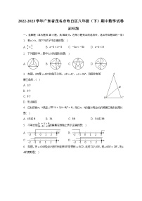 2022-2023学年广东省茂名市电白区八年级（下）期中数学试卷（含解析）