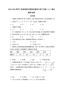 2022-2023学年广东省深圳市福田区莲花中学八年级（上）期末数学试卷（含解析）