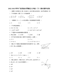 2022-2023学年广西贵港市覃塘区七年级（下）期末数学试卷（含解析）