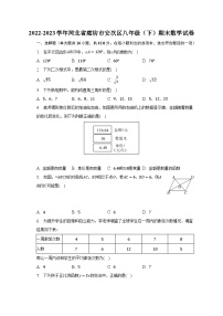 2022-2023学年河北省廊坊市安次区八年级（下）期末数学试卷（含解析）