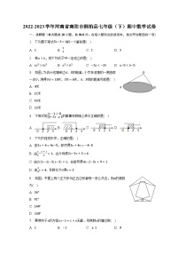 2022-2023学年河南省南阳市桐柏县七年级（下）期中数学试卷（含解析）