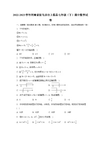 2022-2023学年河南省驻马店市上蔡县七年级（下）期中数学试卷（含解析）