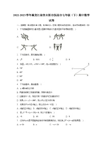 2022-2023学年黑龙江省佳木斯市抚远市七年级（下）期中数学试卷（含解析）