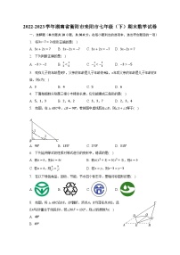 2022-2023学年湖南省衡阳市耒阳市七年级（下）期末数学试卷（含解析）