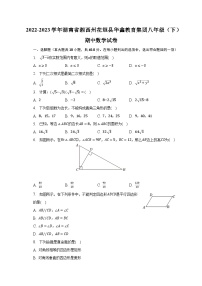 2022-2023学年湖南省湘西州花垣县华鑫教育集团八年级（下）期中数学试卷（含解析）