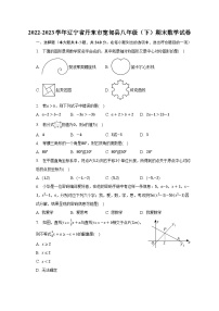 2022-2023学年辽宁省丹东市宽甸县八年级（下）期末数学试卷（含解析）