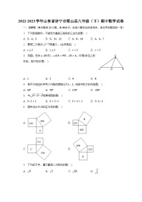 2022-2023学年山东省济宁市梁山县八年级（下）期中数学试卷（含解析）