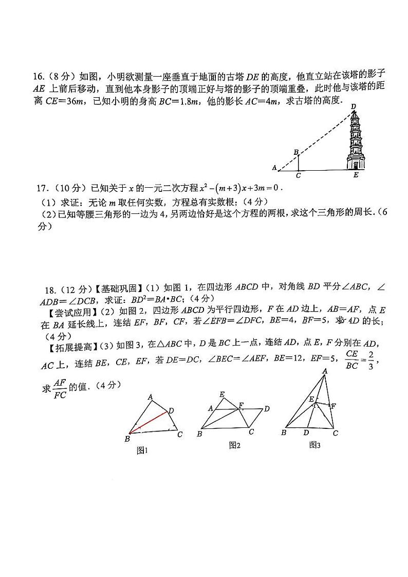 四川省成都市青羊区成都市泡桐树中学2022-2023学年九年级上学期期中数学试题第3页