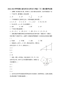 2022-2023学年浙江省台州市玉环市八年级（下）期末数学试卷（含解析）