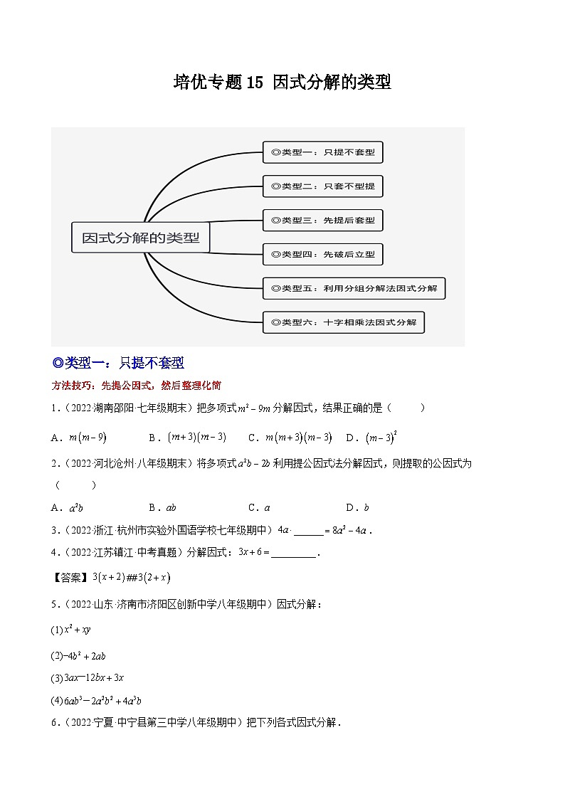 培优专题15 因式分解的类型-2023-2024学年八年级数学上册精选专题培优讲与练（人教版）01