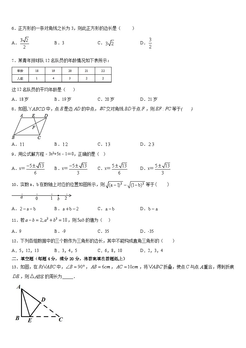 2022-2023学年福建省福安市环城区片区数学七下期末检测模拟试题含答案02