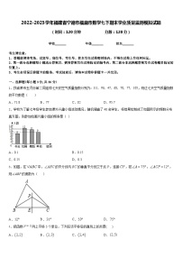 2022-2023学年福建省宁德市福鼎市数学七下期末学业质量监测模拟试题含答案