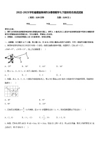 2022-2023学年福建省泉州市永春县数学七下期末综合测试试题含答案