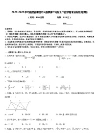 2022-2023学年福建省莆田市仙游县第三片区七下数学期末达标检测试题含答案