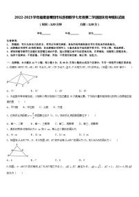 2022-2023学年福建省莆田市仙游县数学七年级第二学期期末统考模拟试题含答案