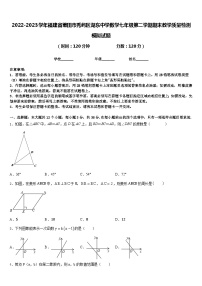 2022-2023学年福建省莆田市秀屿区湖东中学数学七年级第二学期期末教学质量检测模拟试题含答案